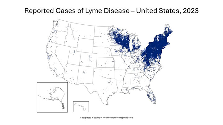 Reported Cases of Lyme Disease United States 2023